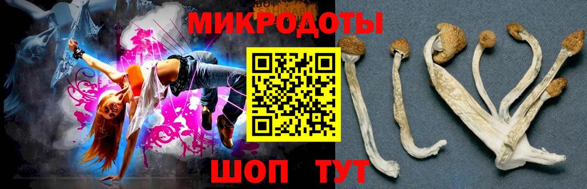 Псилоцибиновые грибы прущие грибы Кирово-Чепецк