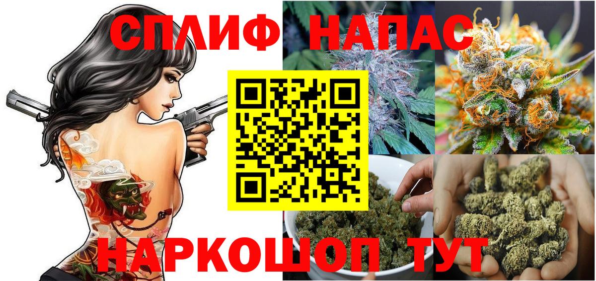 Бошки марихуана сатива Кирово-Чепецк